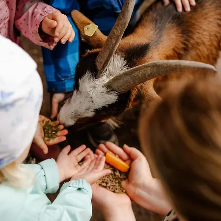 Am Hinrichsberg Oben Lejlighed