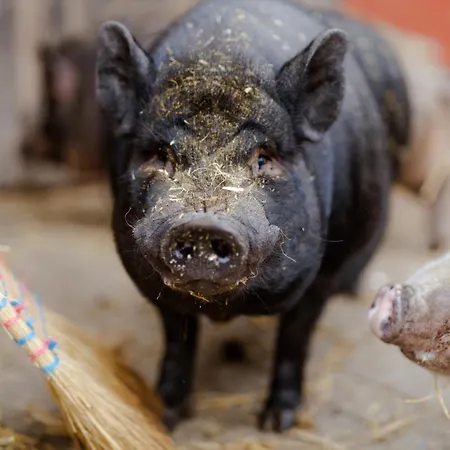 Am Hinrichsberg Oben