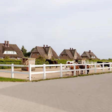 Am Hinrichsberg Oben