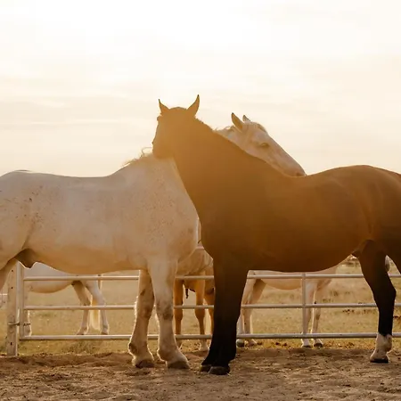 Am Hinrichsberg Oben *