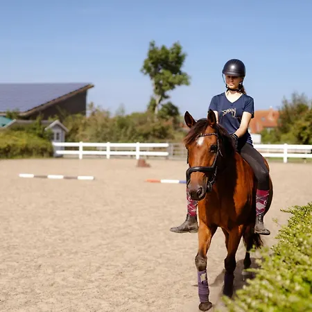 Am Hinrichsberg Oben Staberdorf