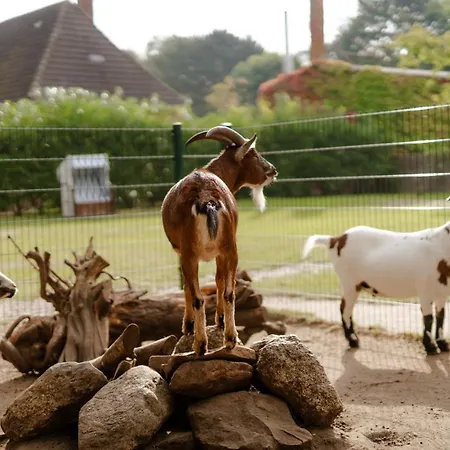 Lejlighed Am Hinrichsberg Oben Staberdorf
