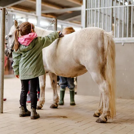 Am Hinrichsberg Oben *