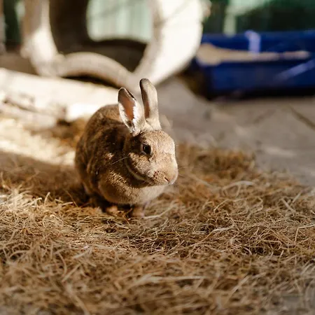 Am Hinrichsberg Oben * Staberdorf