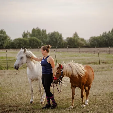 Am Hinrichsberg Oben