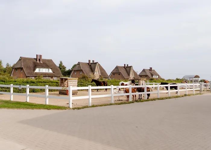 Am Hinrichsberg Oben