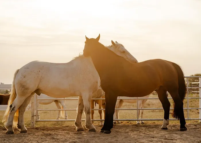 Am Hinrichsberg Oben *