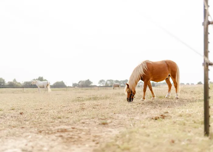 Am Hinrichsberg Oben Apartment