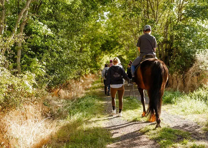 Am Hinrichsberg Oben Staberdorf