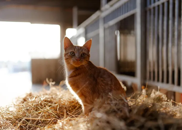 Apartment Am Hinrichsberg Oben Staberdorf